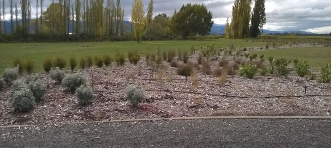 South Island cemetery update